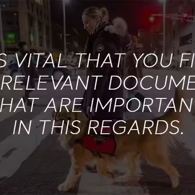 Emotional Support Dogs in Hotels: What Rules Apply?