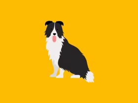 Dog Obedience Training: Core Skills for Everyday Life