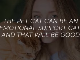 Registration Guide for Emotional Support Cats