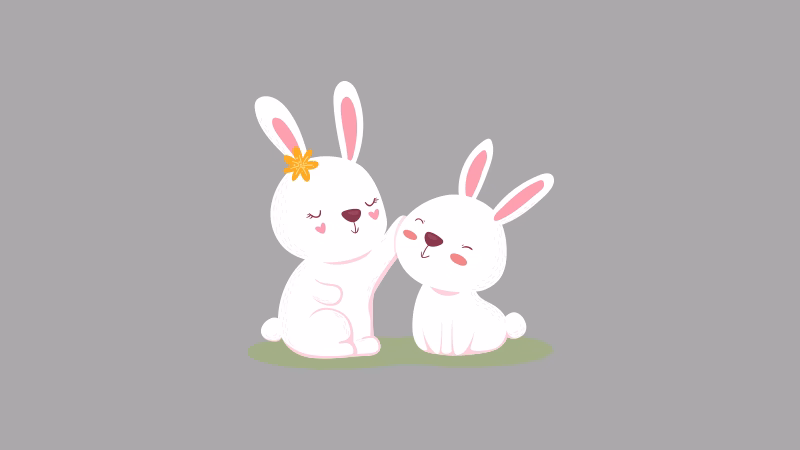 Reasons to Consider an Emotional Support Rabbit