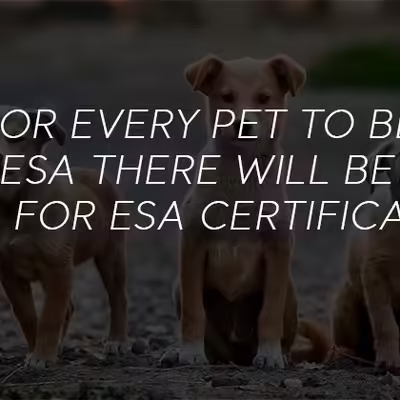 How Many Emotional Support Animals Are Allowed?