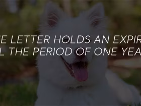 How to Register an ESA Dog: What Paperwork Actually Matters