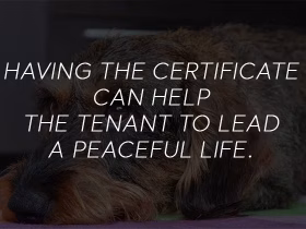 Housing Rights for Emotional Support Animals