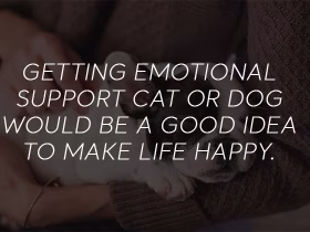 Stay Mentally Healthy With Emotional Support Animals