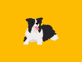House Training a Dog: Clean Routines That Work