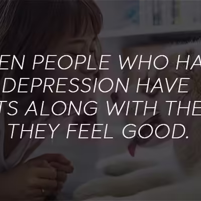 Benefits of Having an Emotional Support Animal