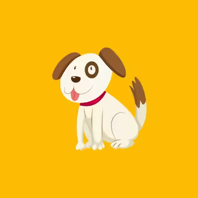 What to Feed Your Dog in Summer to Help Them Stay Cool