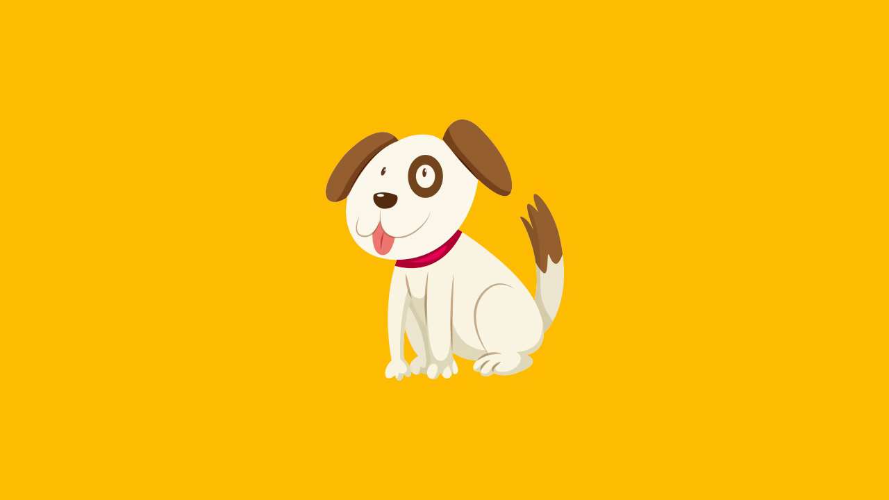 What to Feed Your Dog in Summer to Help Them Stay Cool