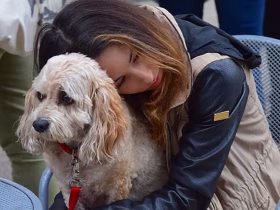Emotional Support Dog Registration Guide